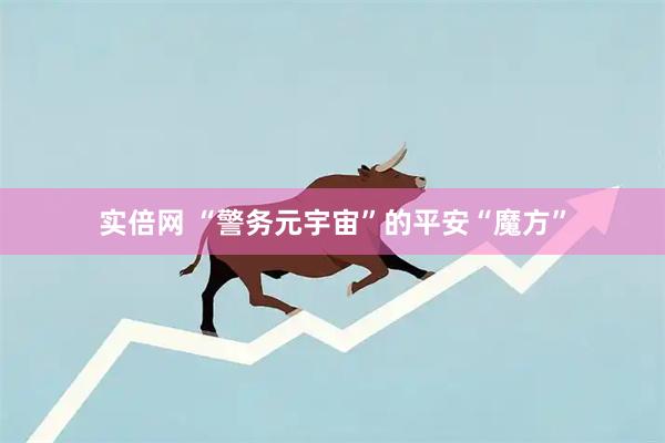 实倍网 “警务元宇宙”的平安“魔方”