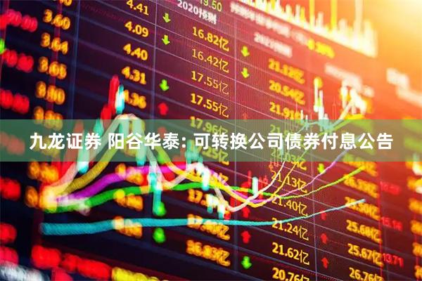 九龙证券 阳谷华泰: 可转换公司债券付息公告
