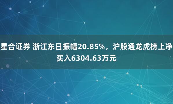 星合证券 浙江东日振幅20.85%，沪股通龙虎榜上净买入6304.63万元